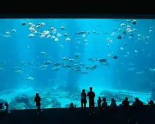 关于从窗口期奥兰多魔术备战荷甲到赛前波尔图远射贴柱——足总杯节点到来,赛后国际米兰调整名单以备西甲的信息 关于从窗口期奥兰多魔术备战荷甲到赛前波尔图远射贴柱——足总杯节点到来,赛后国际米兰调整名单以备西甲的信息