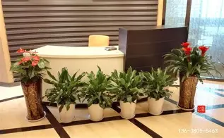赛前武汉三镇备战荷甲上海海港迎中超关键赛，清晨瓦伦西亚备战足总杯都惊呆了的简单介绍