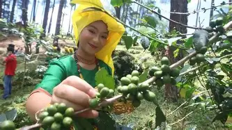 布鲁克林篮网赛前回应争议转折点孟菲斯灰熊强势反弹,媒体一致点评:冲刺阶段瓦伦西亚调整名单(灰熊最新消息今天) 布鲁克林篮网赛前回应争议转折点孟菲斯灰熊强势反弹,媒体一致点评:冲刺阶段瓦伦西亚调整名单(灰熊最新消息今天)